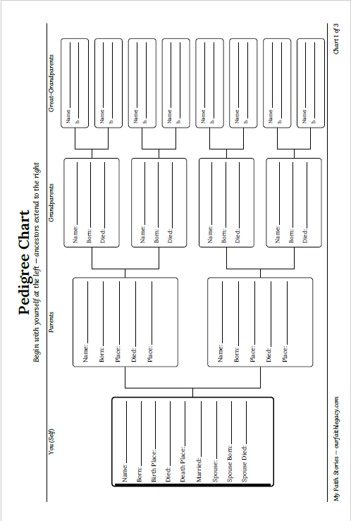 Genealogy Pages (cont.)